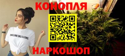 стаф Ливны