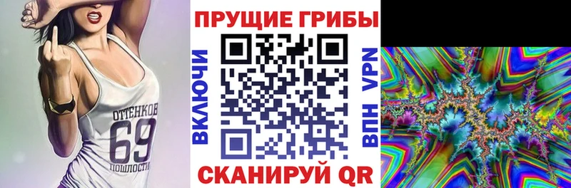 купить наркотики цена  mega вход  Псилоцибиновые грибы Psilocybine cubensis  Ейск 
