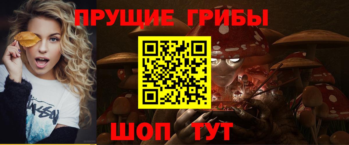 Ейск  Галлюциногенные грибы мухоморы  Псилоцибиновые грибы MAGIC MUSHROOMS  где продают   Вход с VPN 