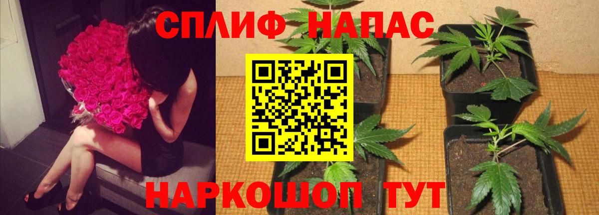 Канабис сатива  Вход с VPN  Ейск  Конопля VHQ 